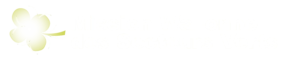 Logo Mission Wallonne des Secteurs Verts