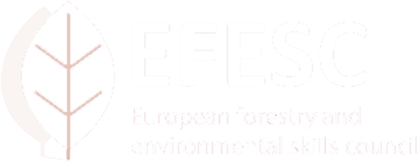 Logo EFESC